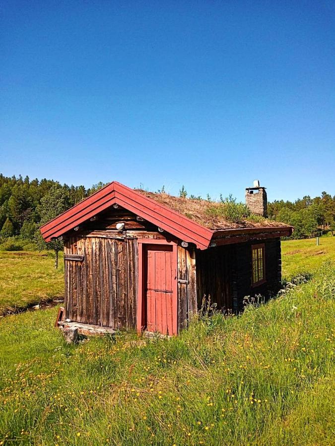 Rondane Friluftssenter Rondetunet Brenn 외부 사진