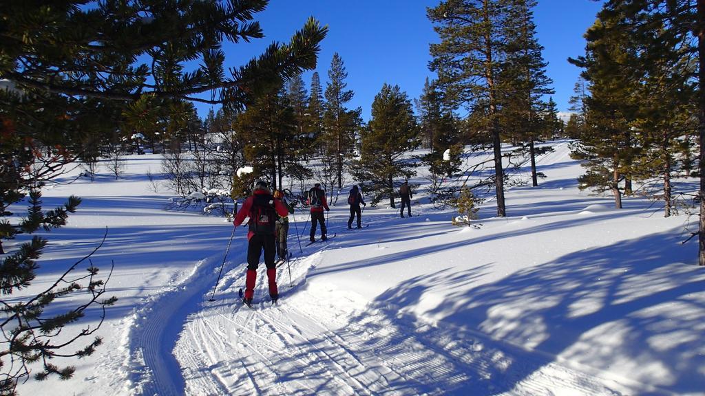 Rondane Friluftssenter Rondetunet Brenn 외부 사진
