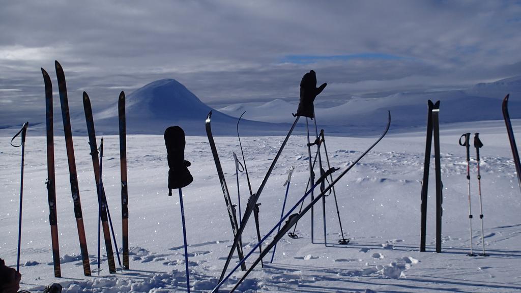 Rondane Friluftssenter Rondetunet Brenn 외부 사진